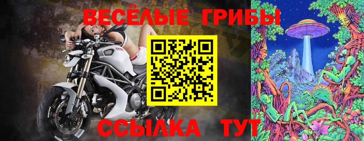 Псилоцибиновые грибы ЛСД Новый Уренгой