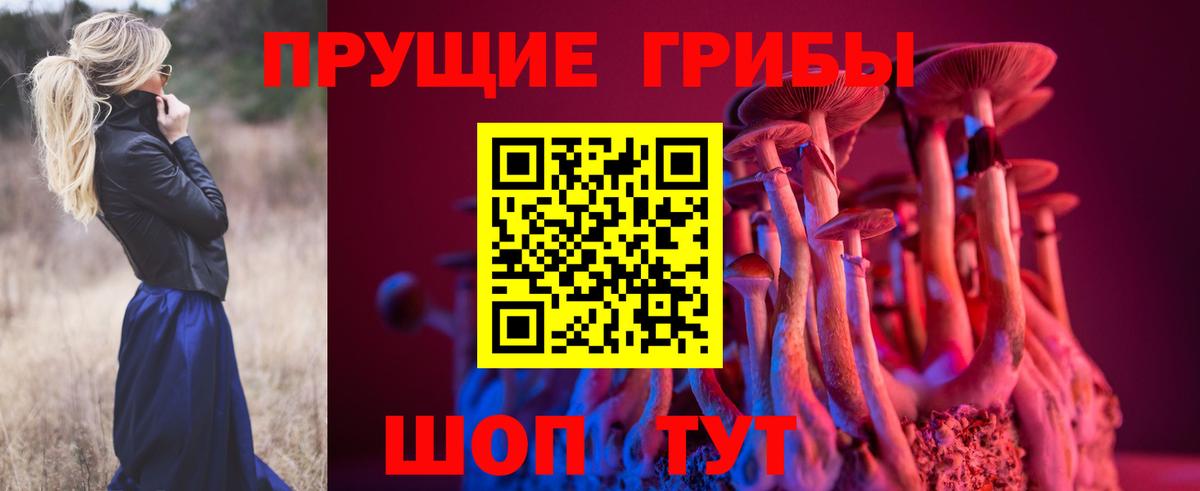 Галлюциногенные грибы Magic Shrooms  Галлюциногенные грибы Psilocybe  Новый Уренгой  Вход с VPN 